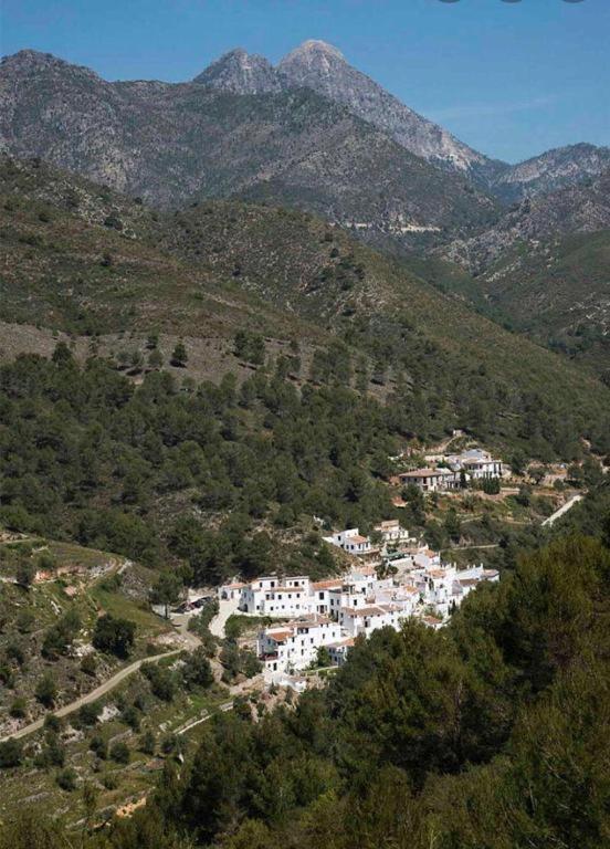 Apartamento Estudio Rural El Acebuchal *